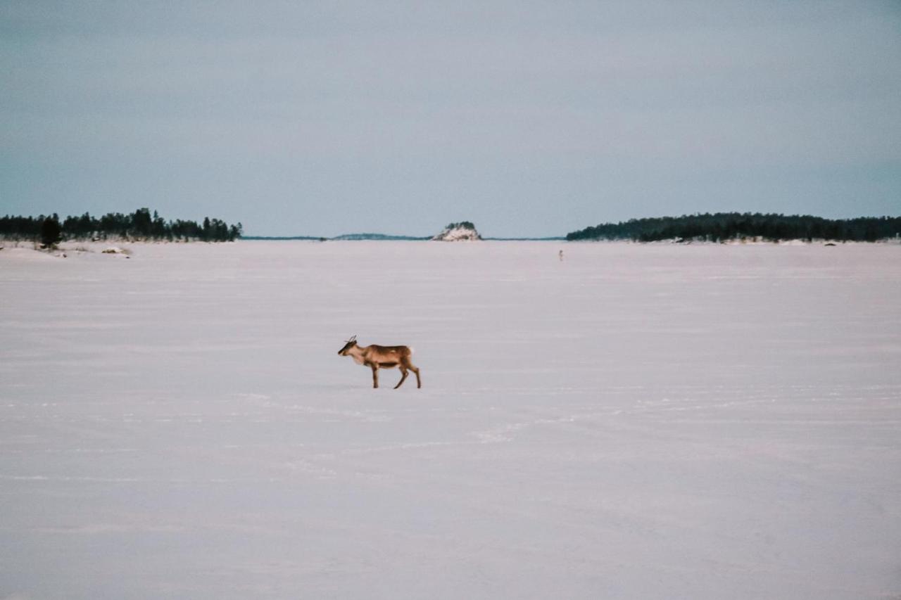 Villa Vaibmu Inari Luaran gambar